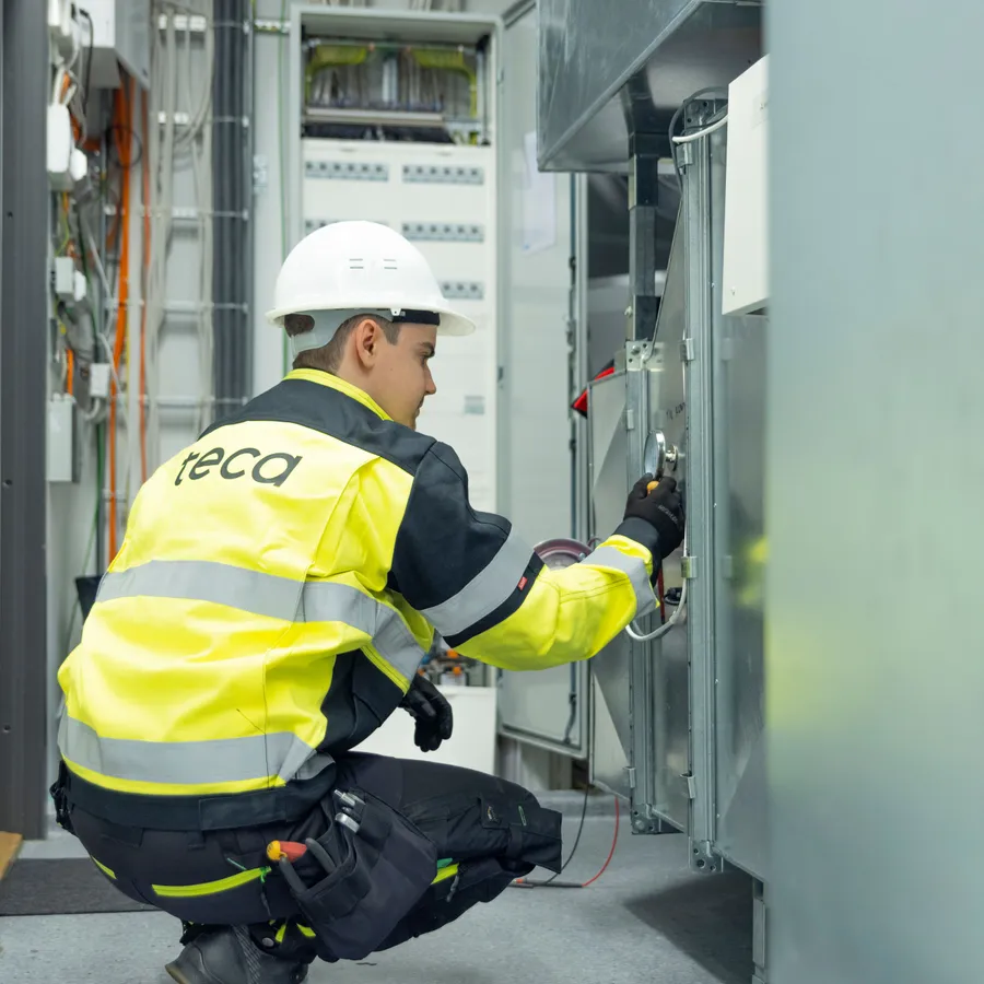 Teca, en del av Nimlas